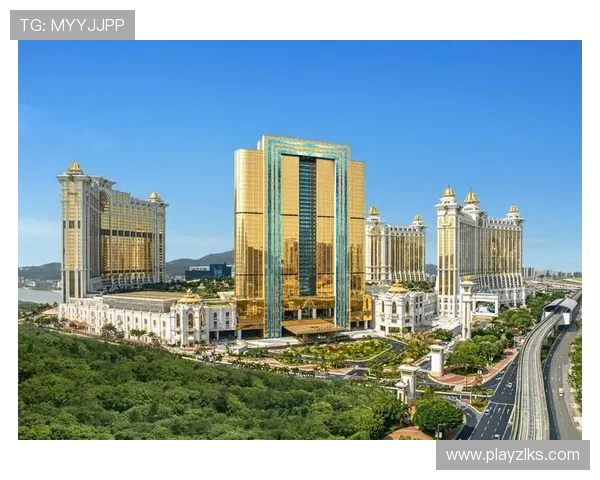 探索澳门D88尊龙的游戏世界，感受刺激与奢华的结合